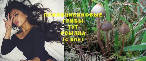 индика Армянск