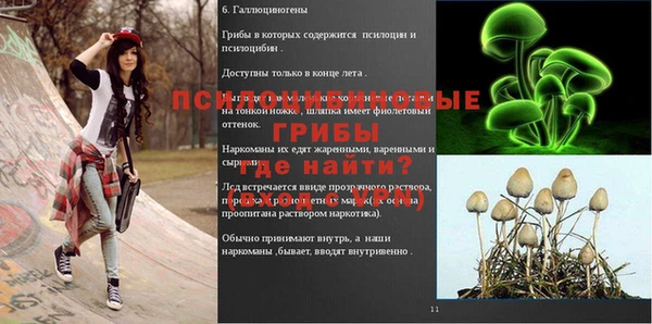 Альфа ПВП Балахна