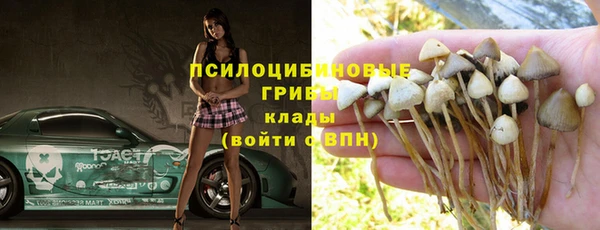 индика Армянск