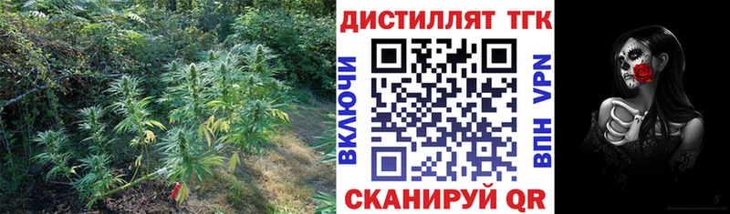 Дистиллят ТГК THC oil  Урень 